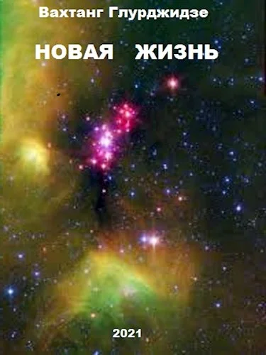 Обложка Новая жизнь