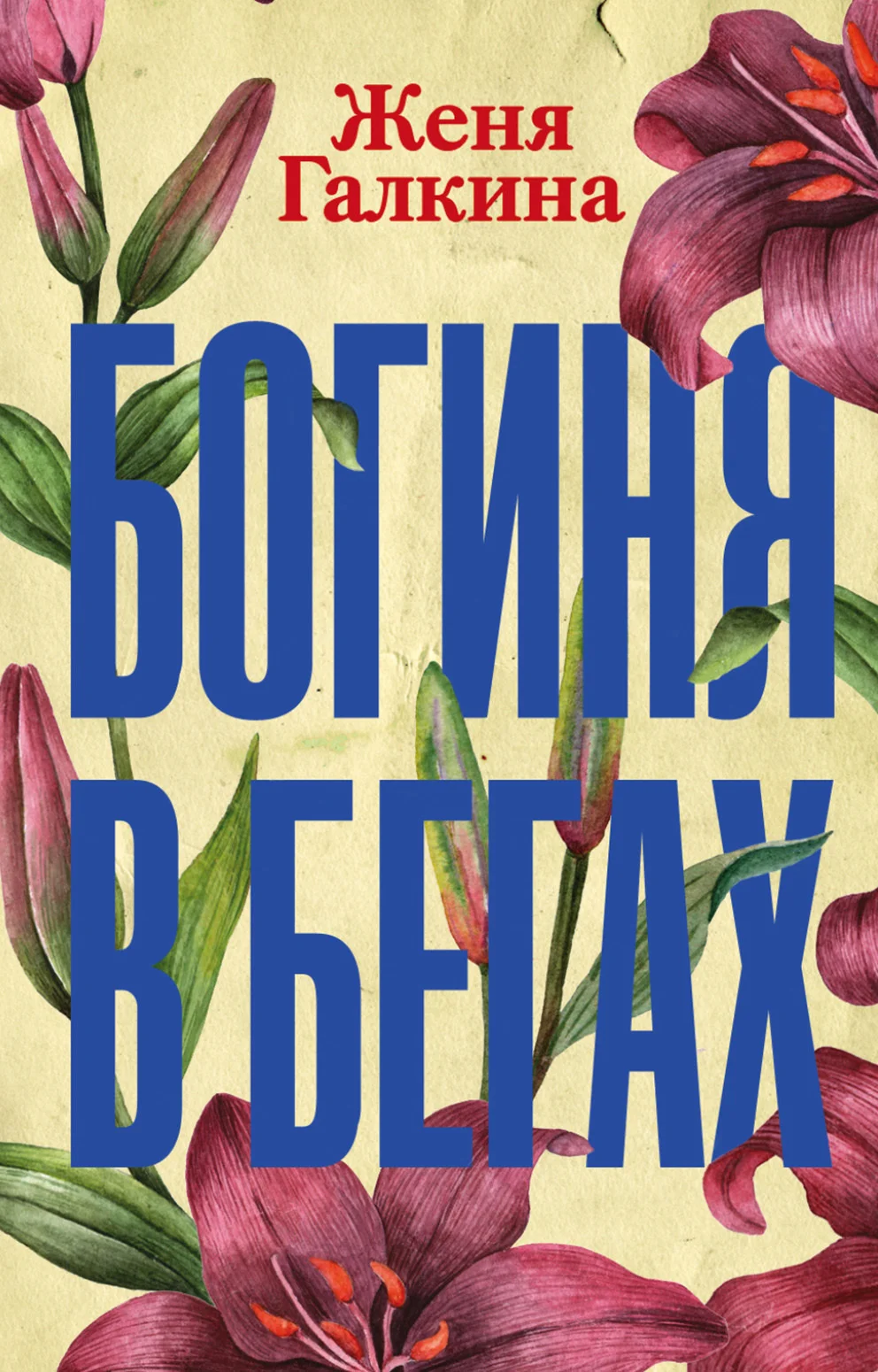 Обложка Богиня в бегах