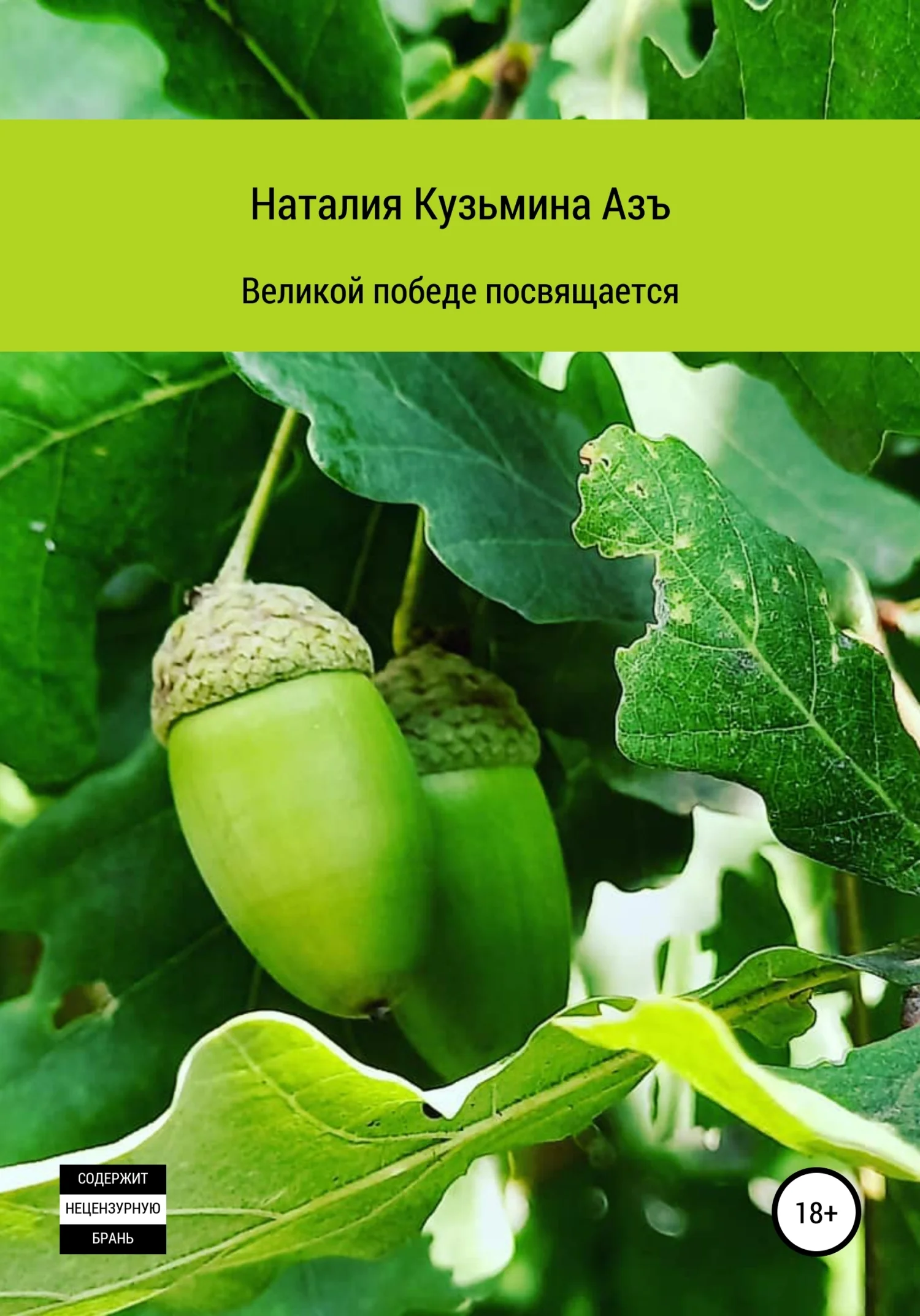 Обложка Великой победе посвящается