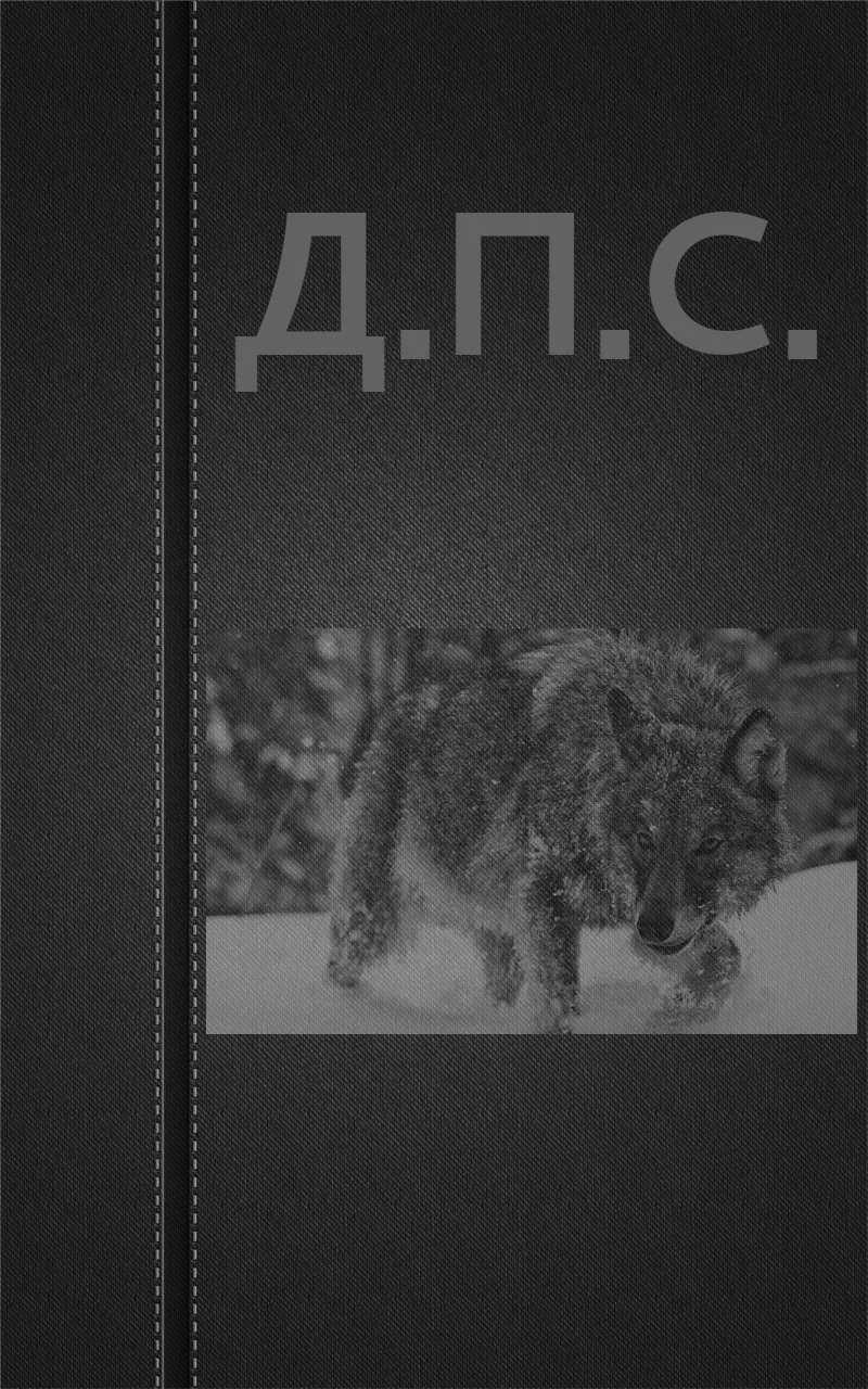 Обложка Д.П.С.