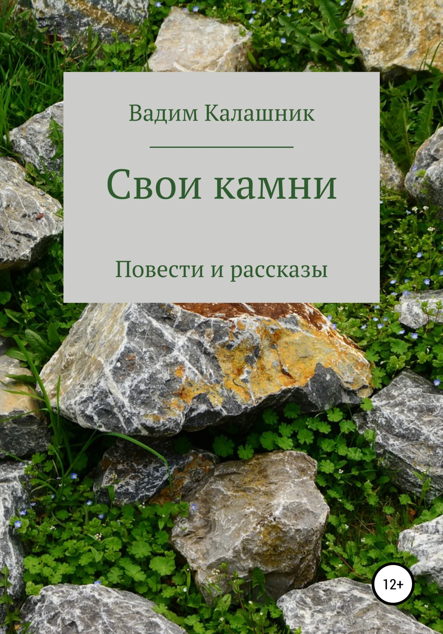 Обложка Свои камни