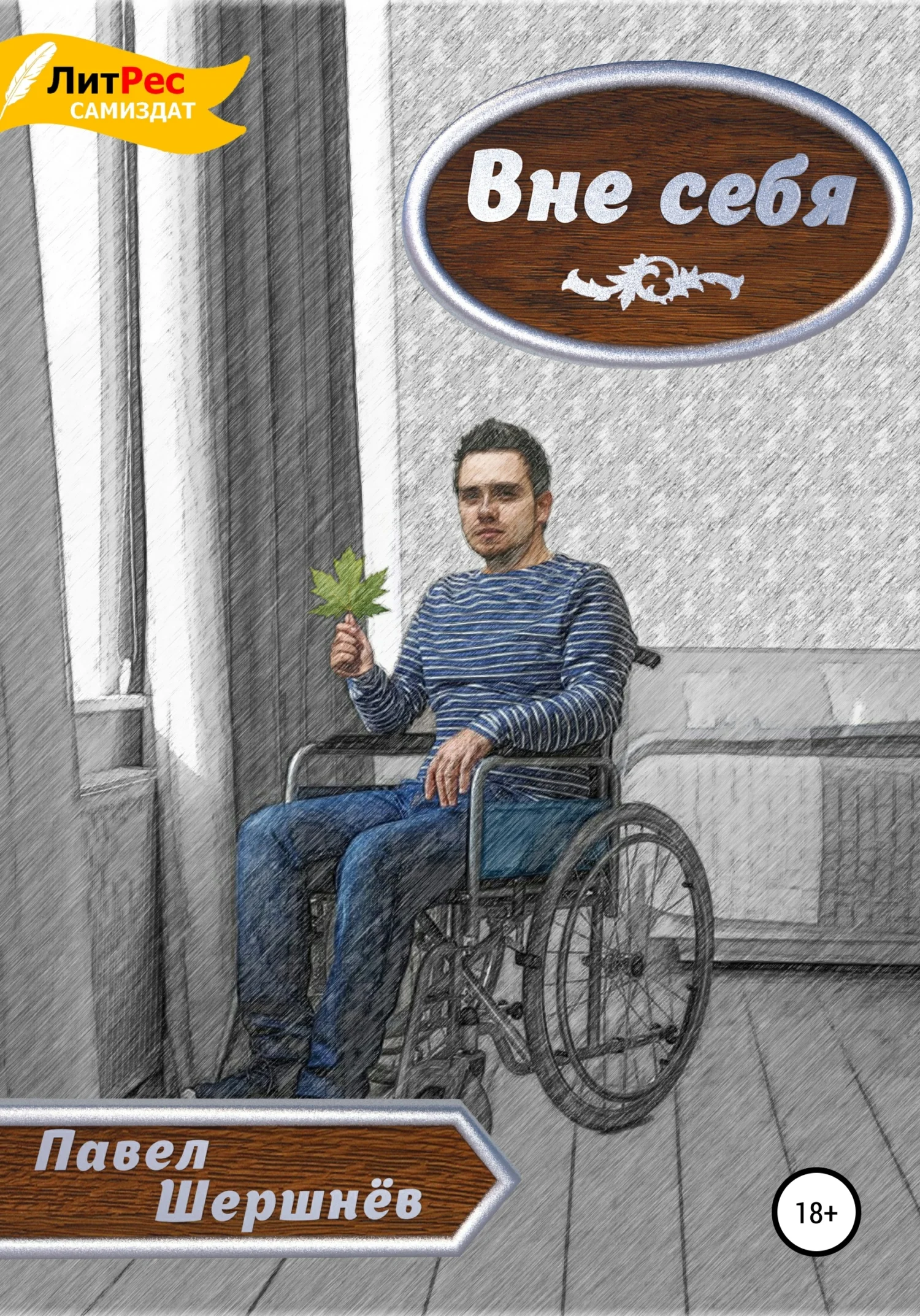 Обложка Вне себя