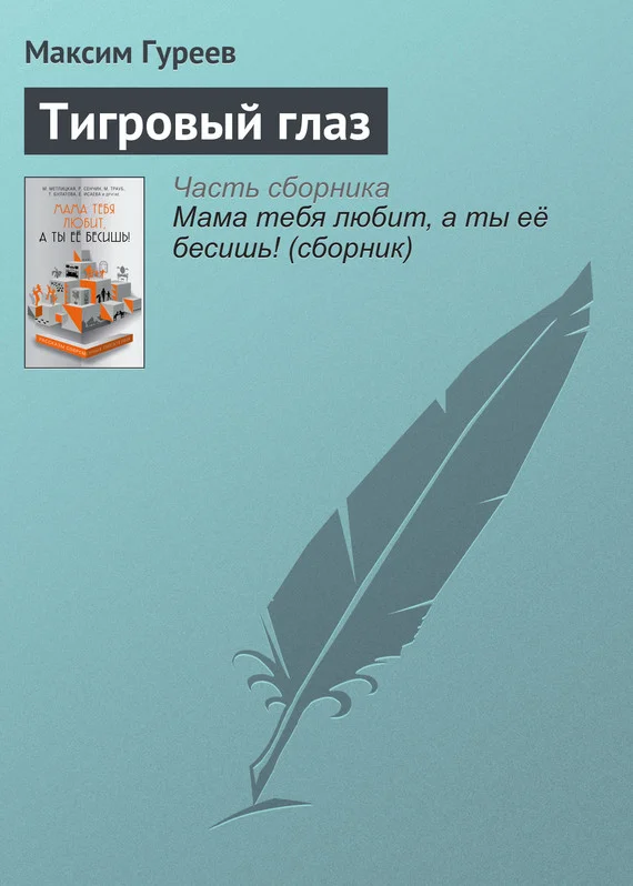 Обложка Тигровый глаз