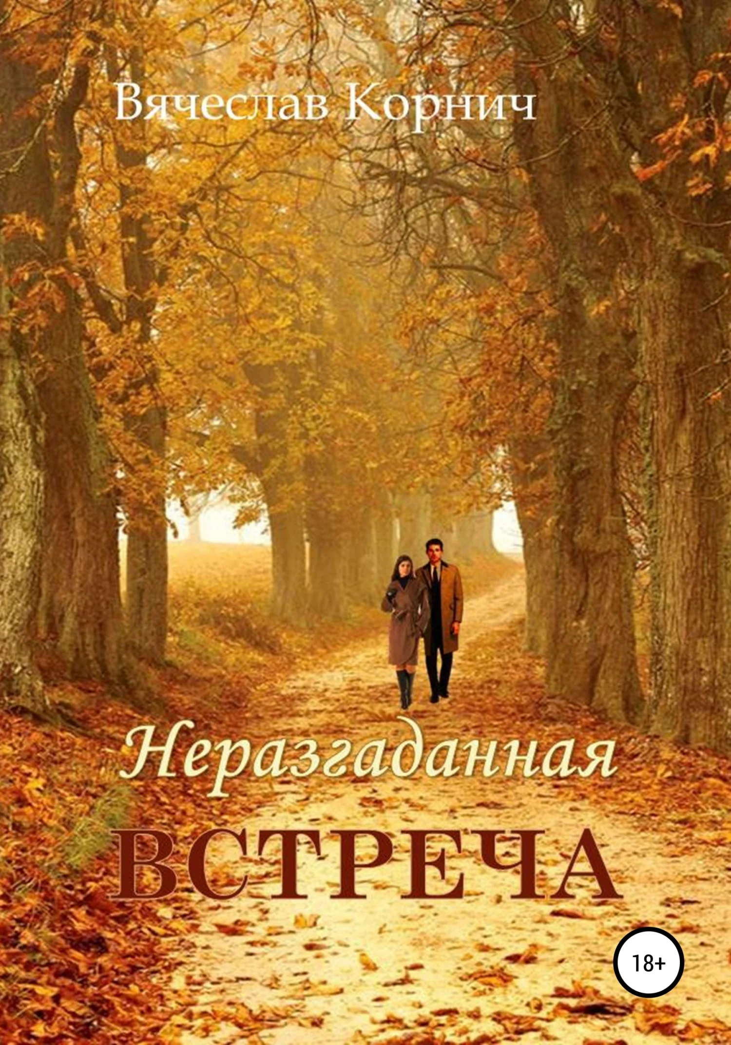 Обложка Неразгаданная встреча