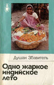 Обложка Одно жаркое индийское лето