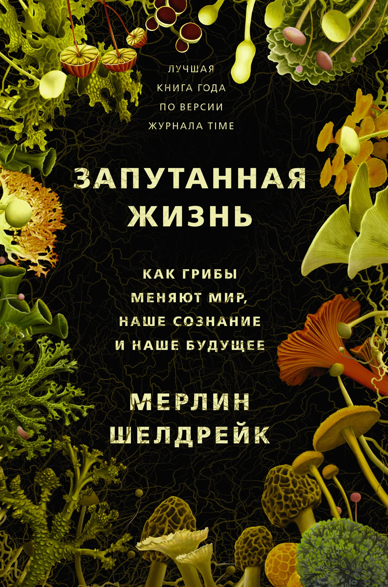 Обложка Запутанная жизнь. Как грибы меняют мир, наше сознание и наше будущее