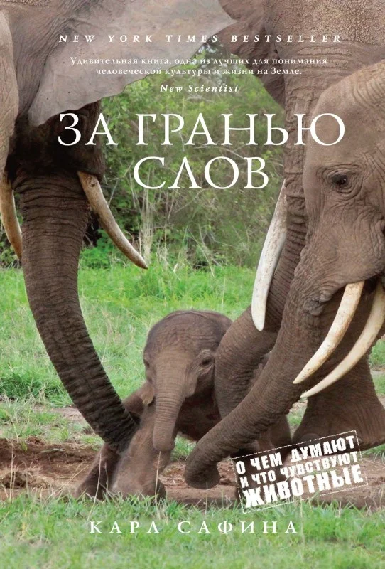 Обложка За гранью слов. О чем думают и что чувствуют животные