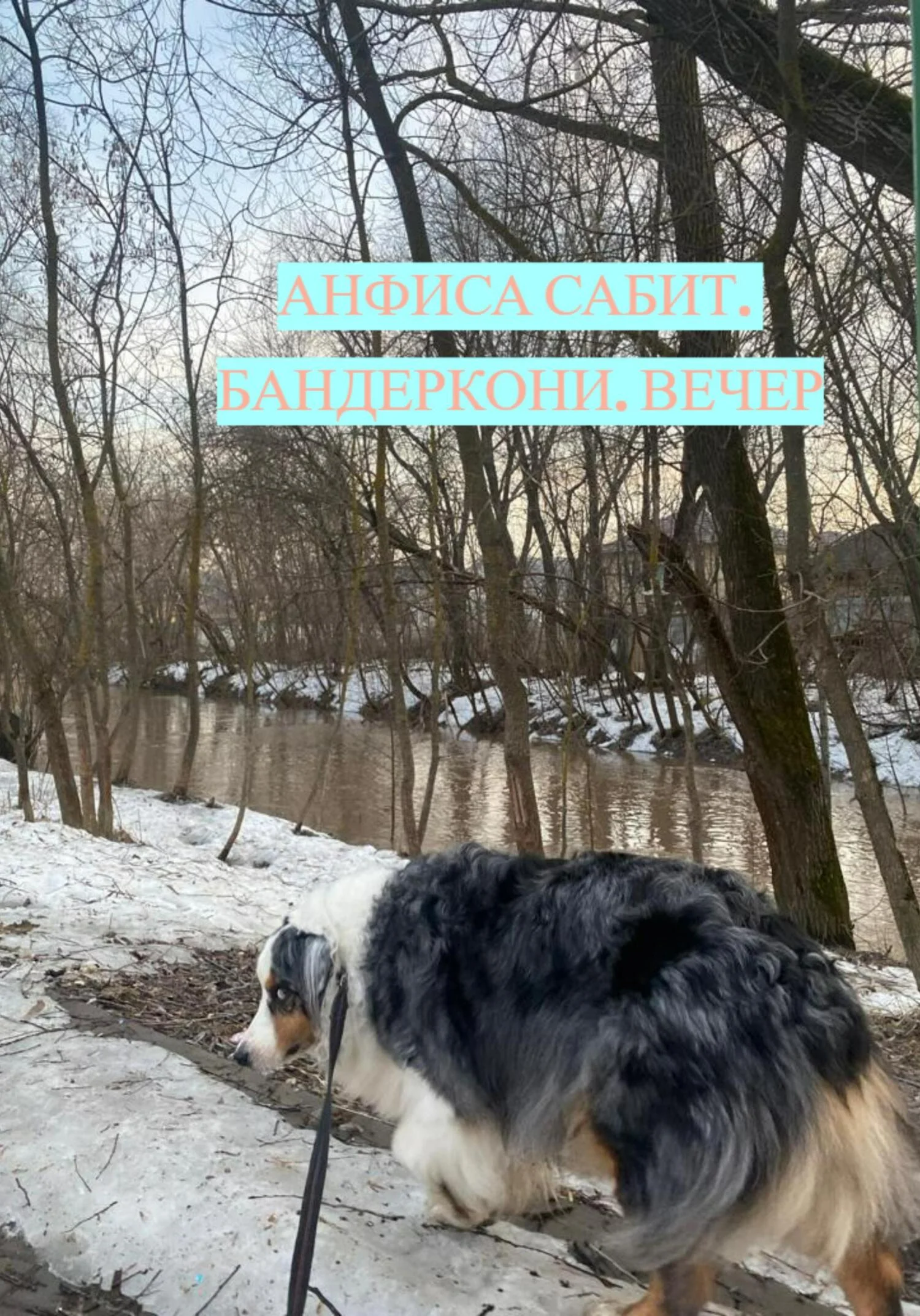 Обложка Бандеркони. Вечер