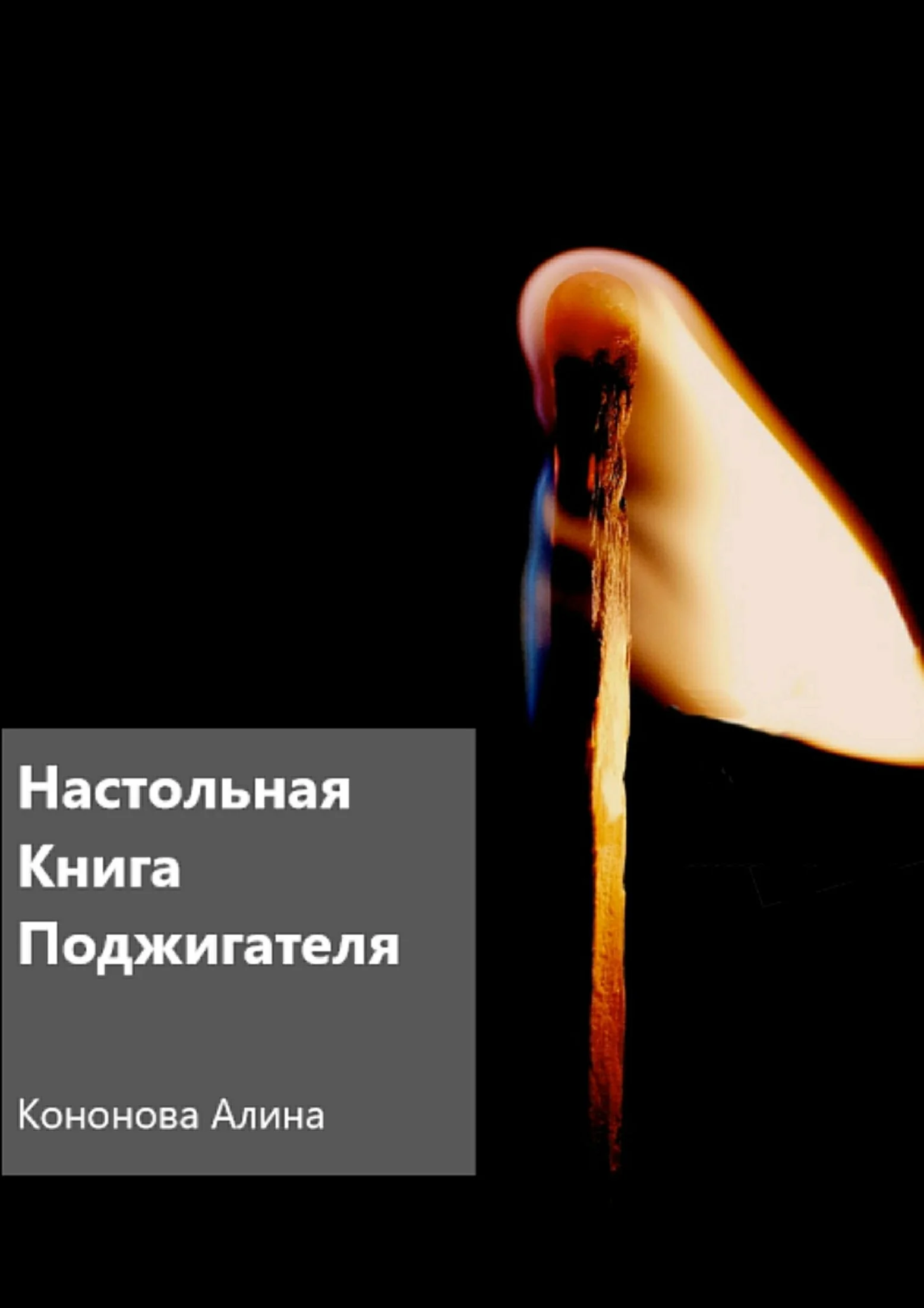 Обложка Настольная книга поджигателя