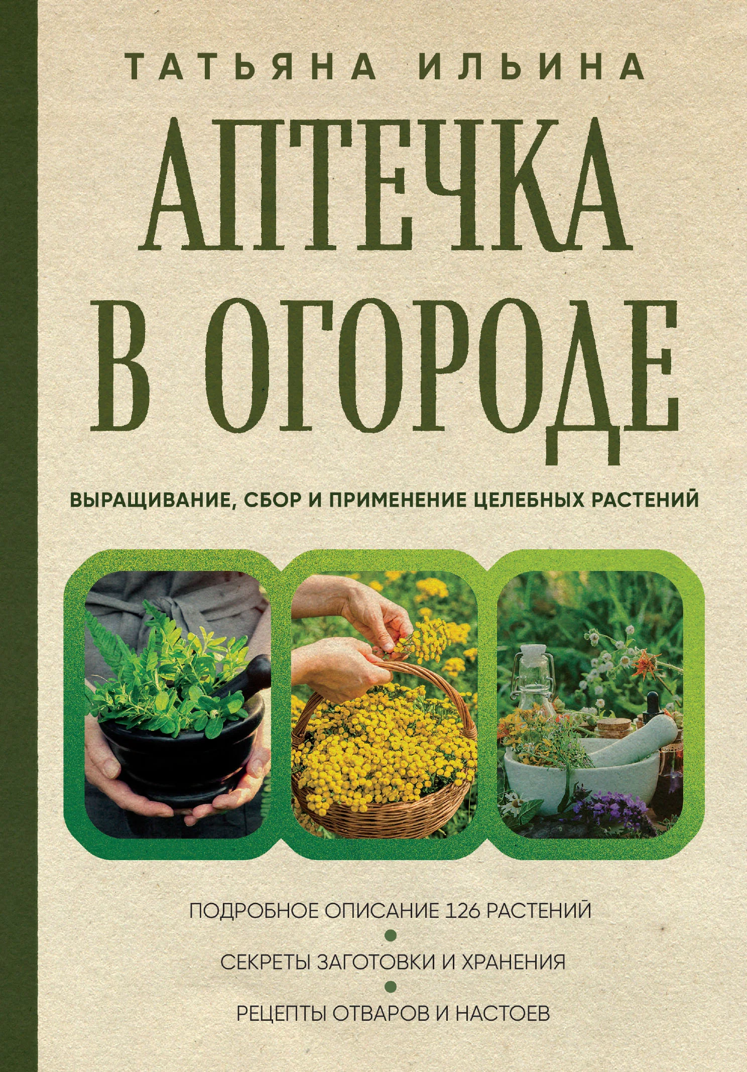 Обложка Аптечка в огороде. Выращивание, сбор и применение целебных растений