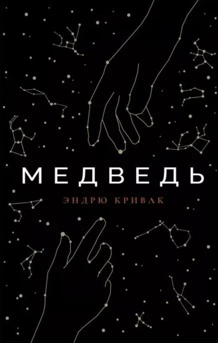 Обложка Медведь