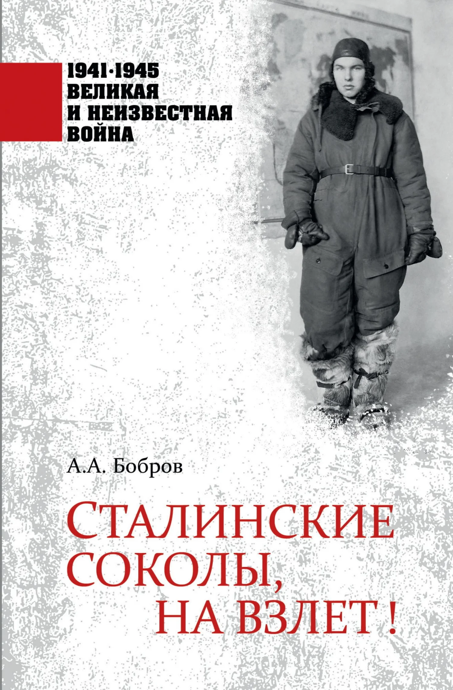 Обложка Сталинские соколы, на взлет!