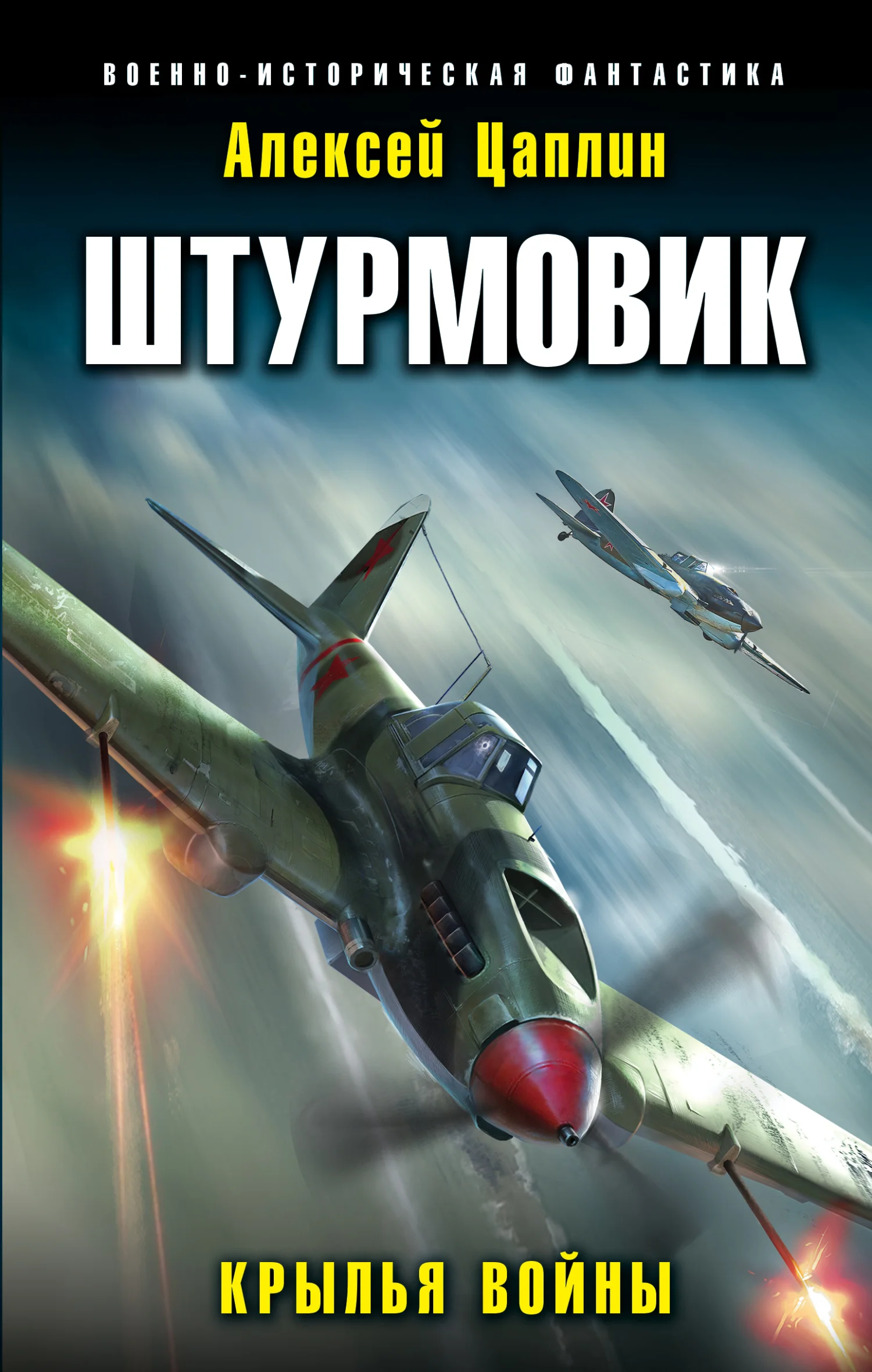 Обложка Крылья войны