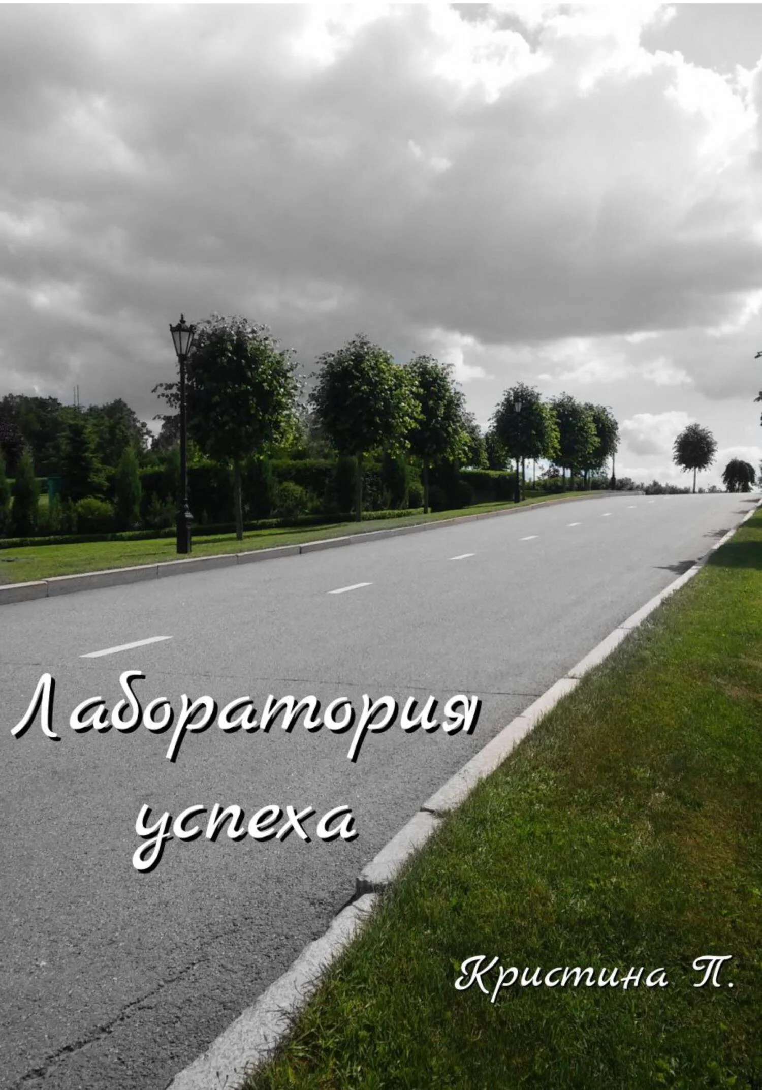 Обложка Лаборатория успеха