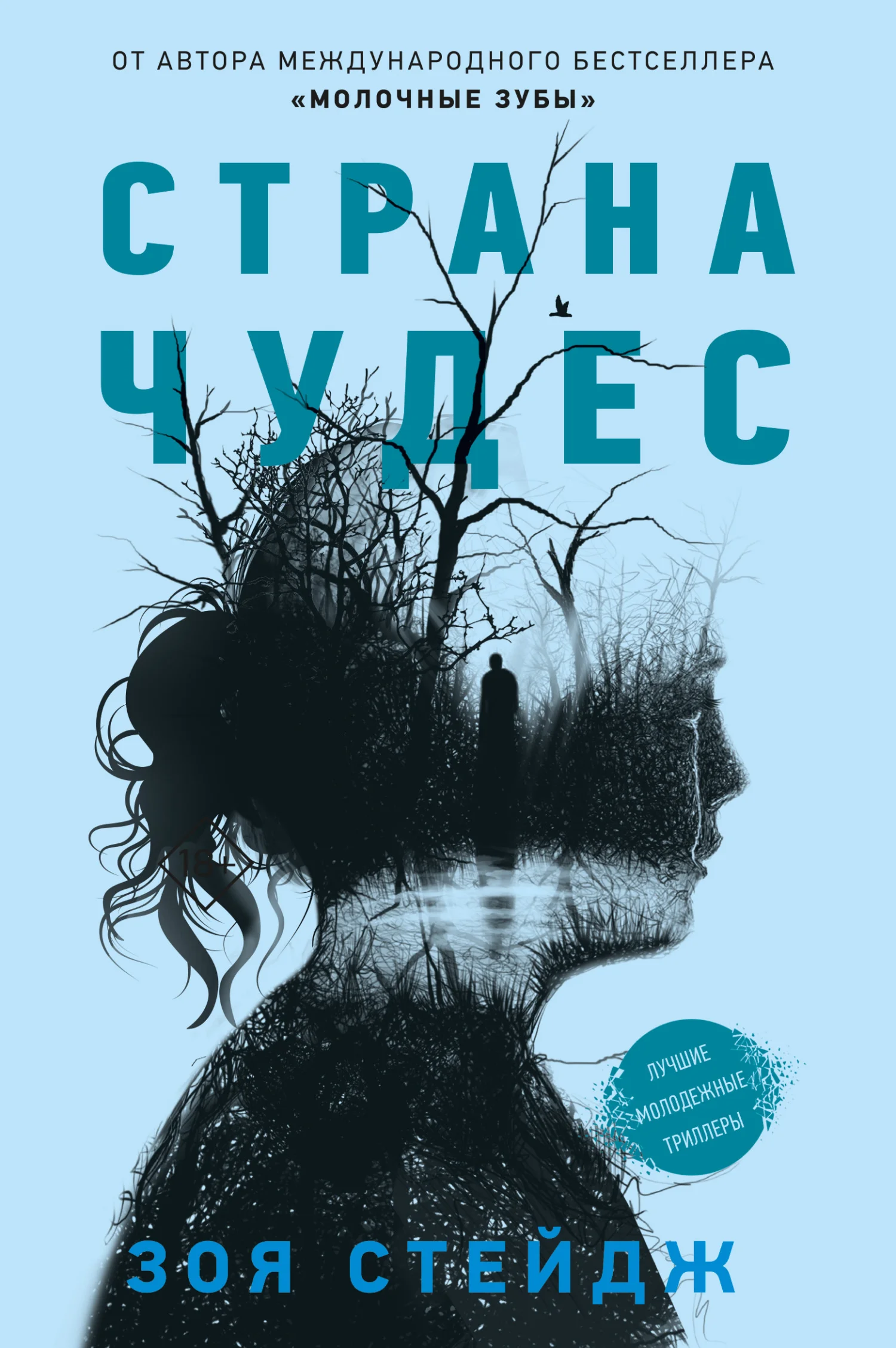 Обложка Страна чудес