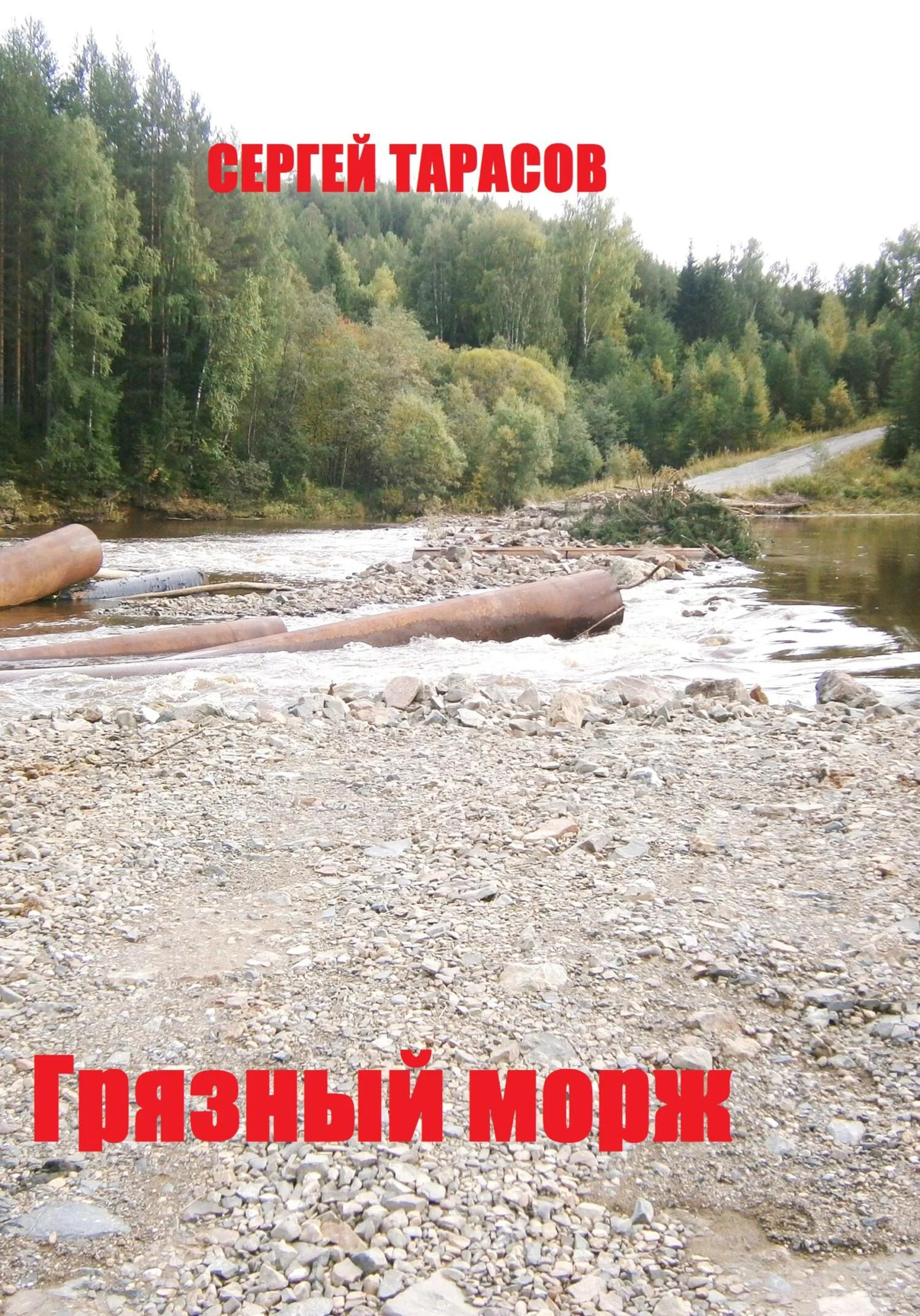 Обложка Грязный морж