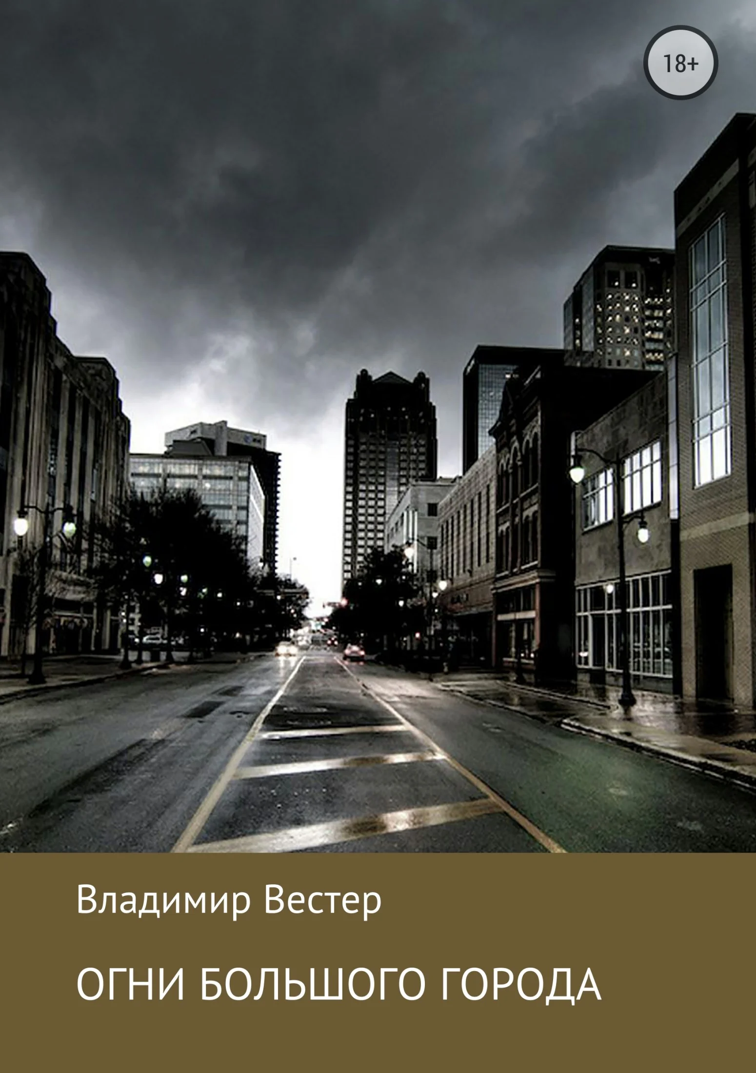 Обложка Огни большого города