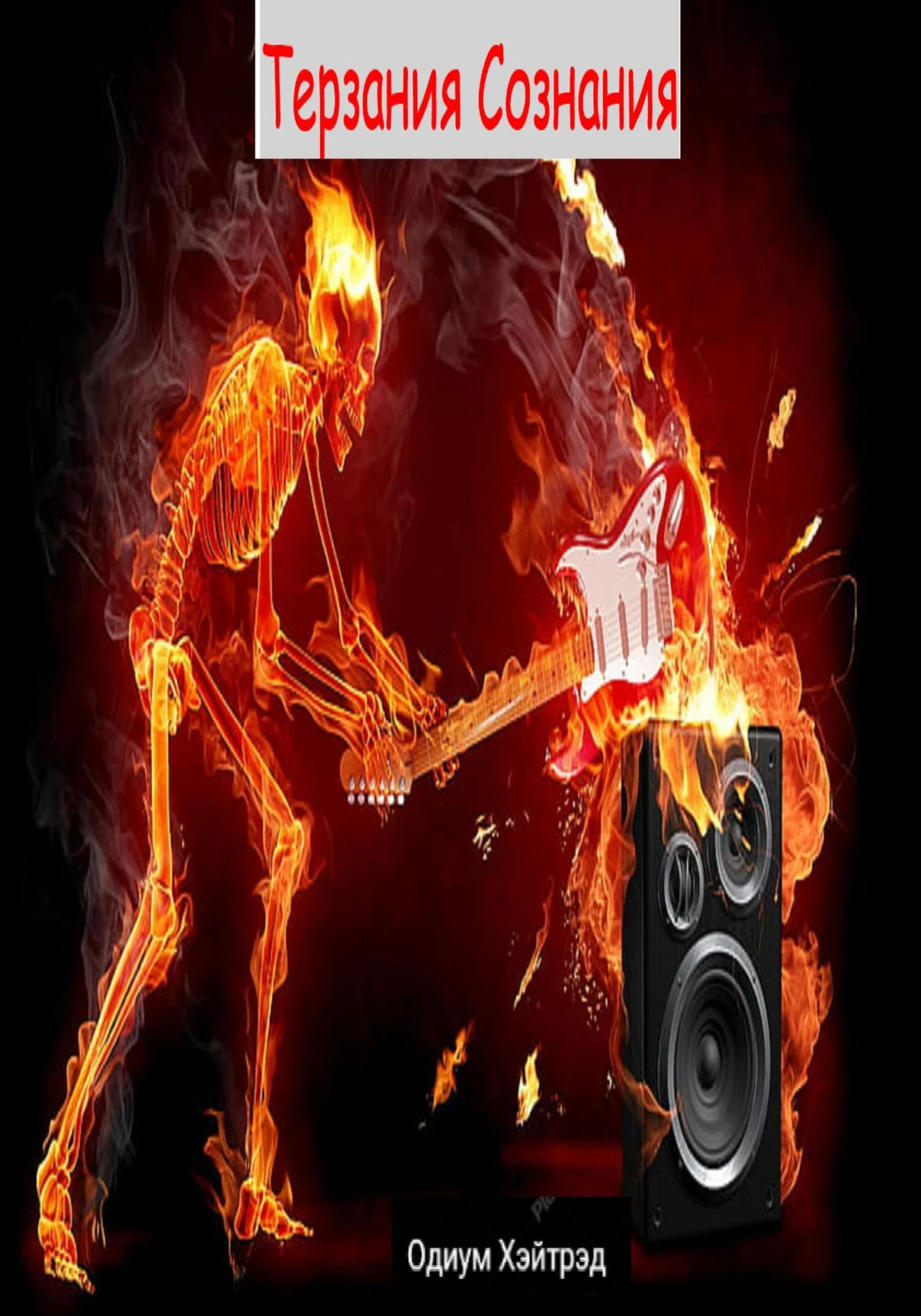 Обложка Терзания сознания