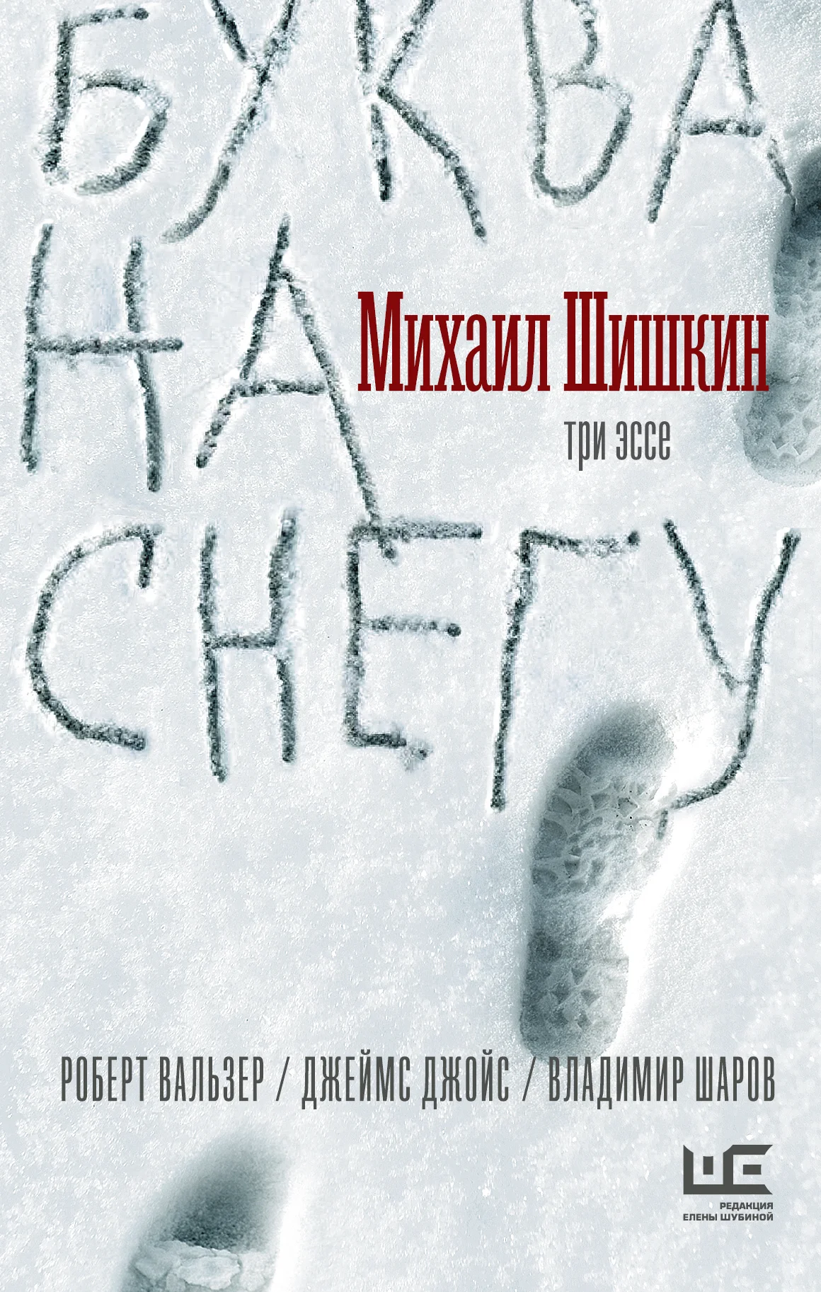 Обложка Буква на снегу