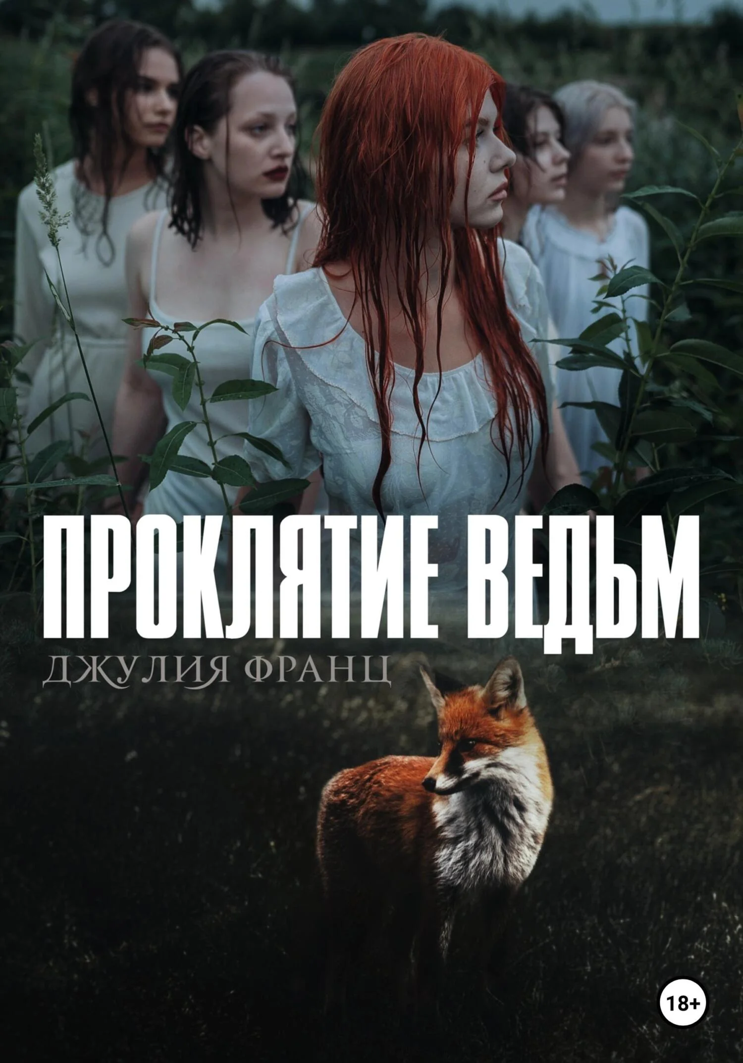 Обложка Проклятие ведьм