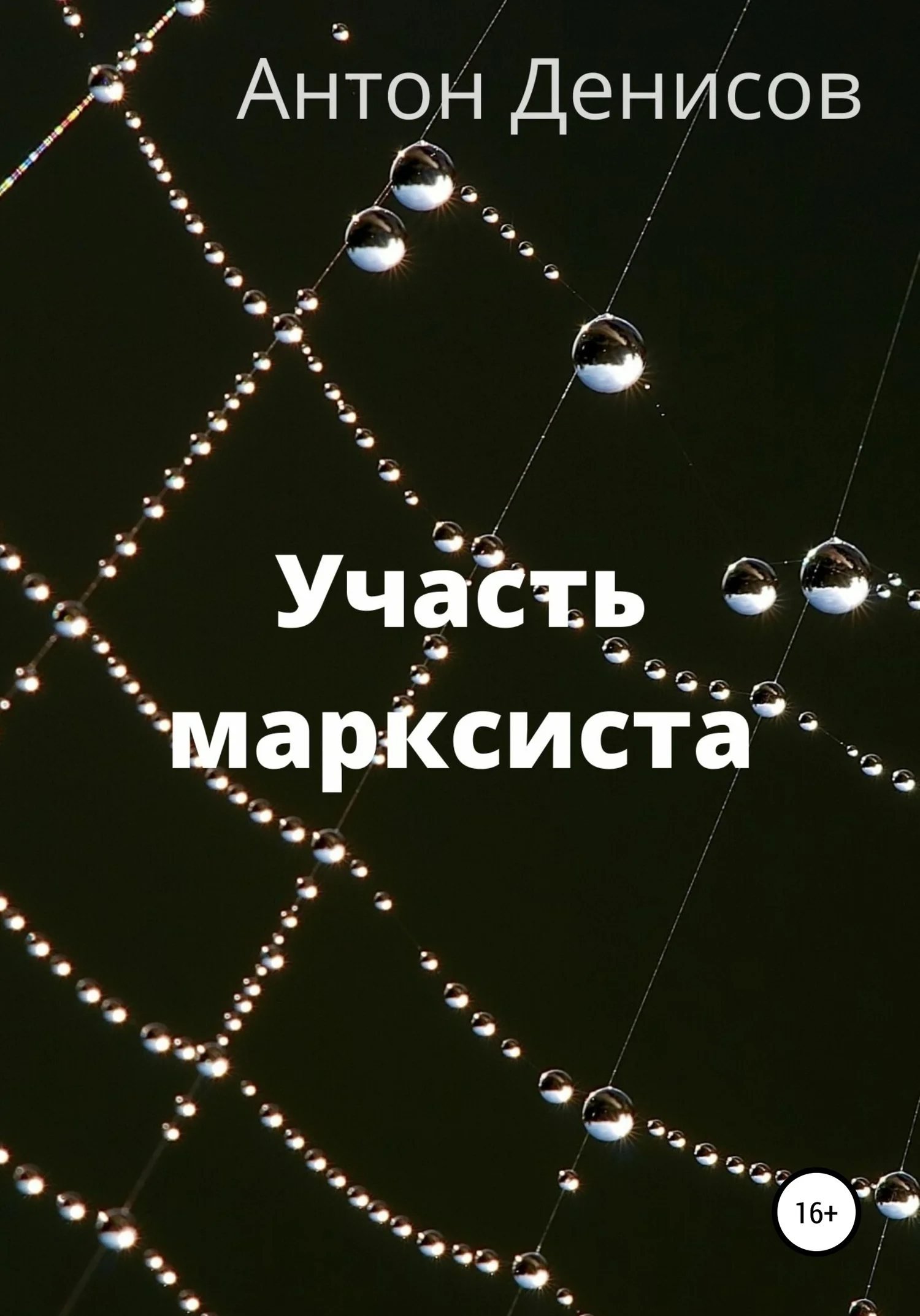 Обложка Участь марксиста