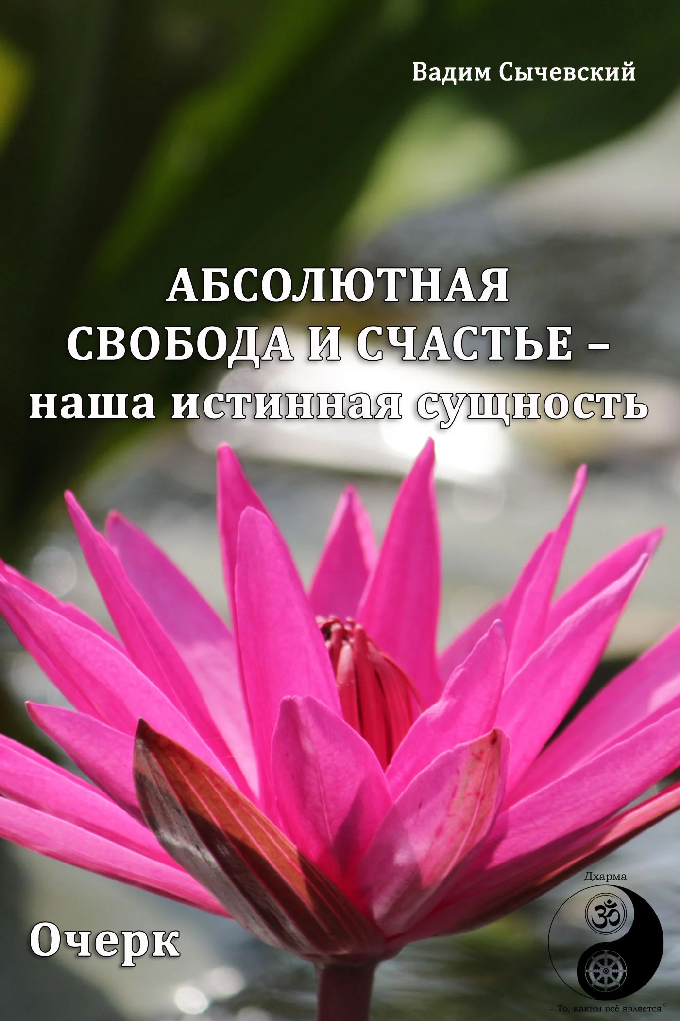 Обложка Абсолютная свобода и счастье – наша истинная сущность