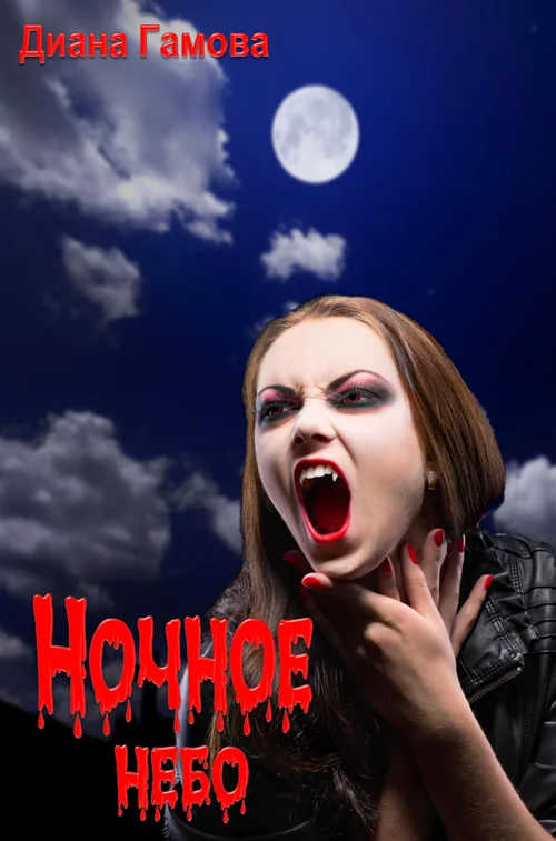 Обложка Ночное небо