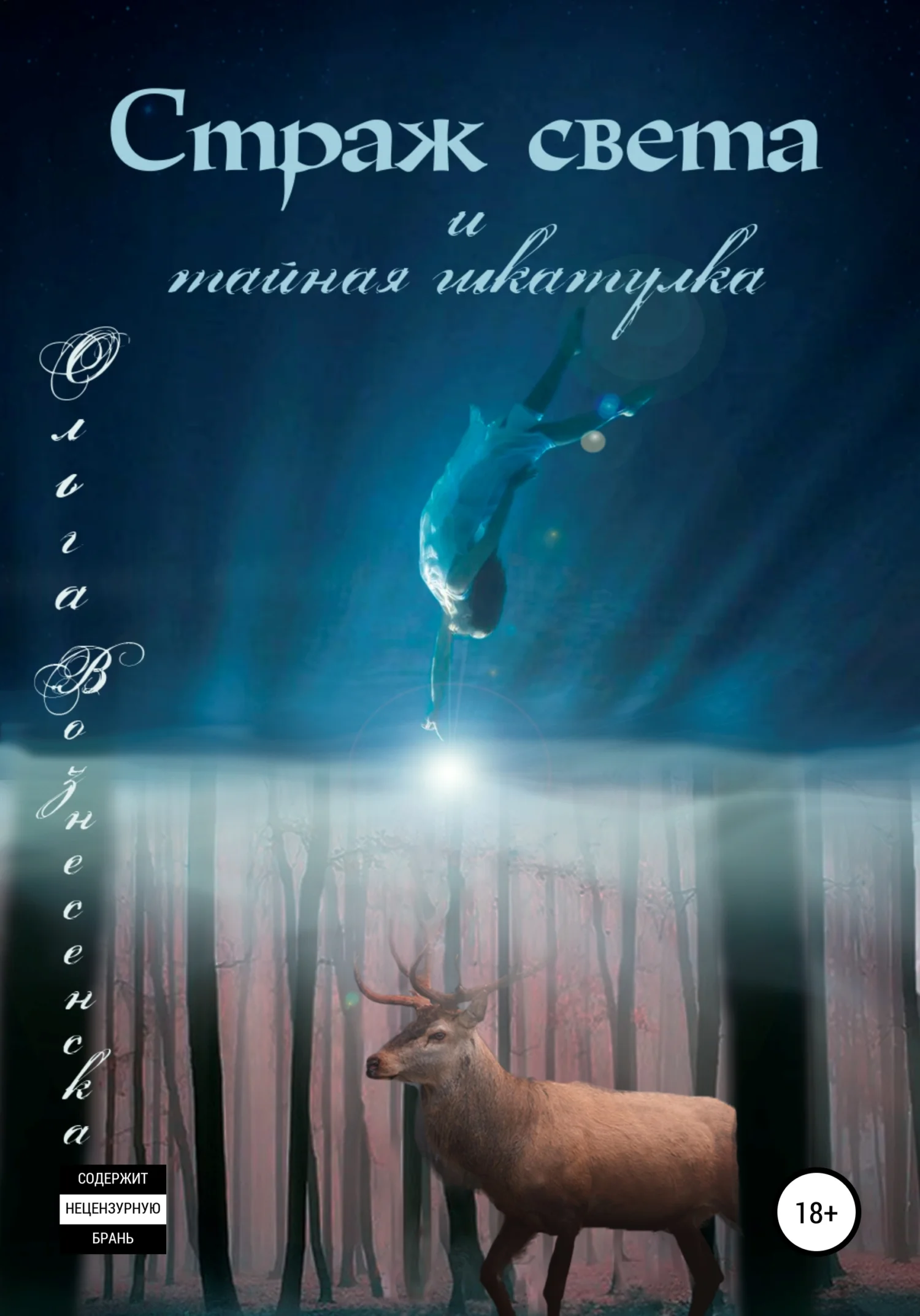 Обложка Страж света и тайная шкатулка