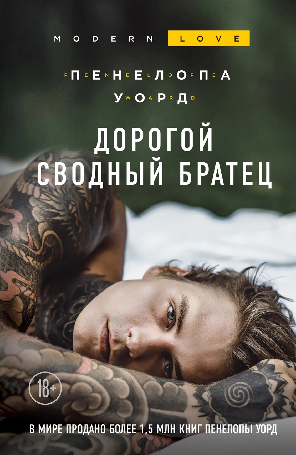 Обложка Дорогой сводный братец