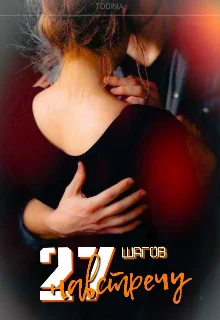 Обложка 27 шагов навстречу