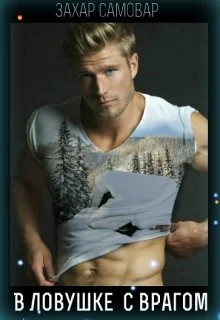 Обложка В ловушке с врагом