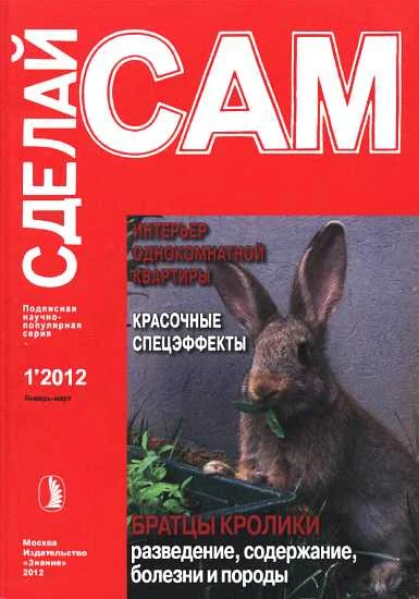 Обложка Интерьер однокомнатной квартиры. Красочные спецэффекты... ("Сделай сам" №1∙2012)
