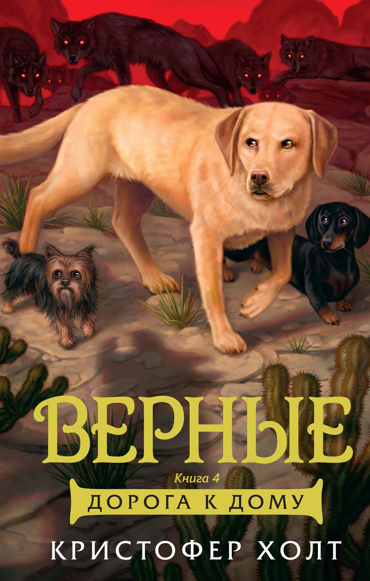 Обложка Дорога к дому