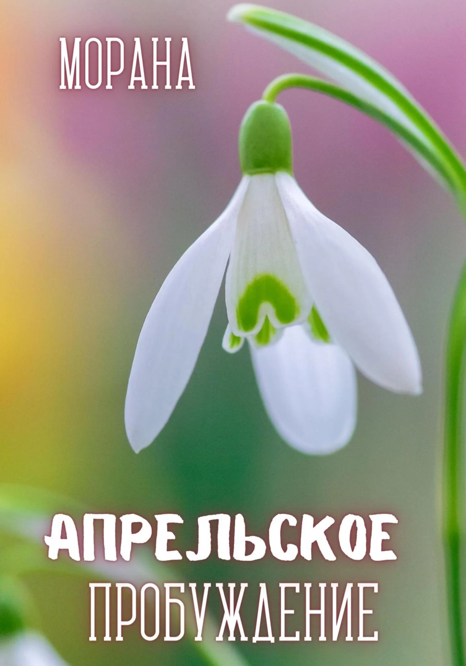 Обложка Апрельское пробуждение