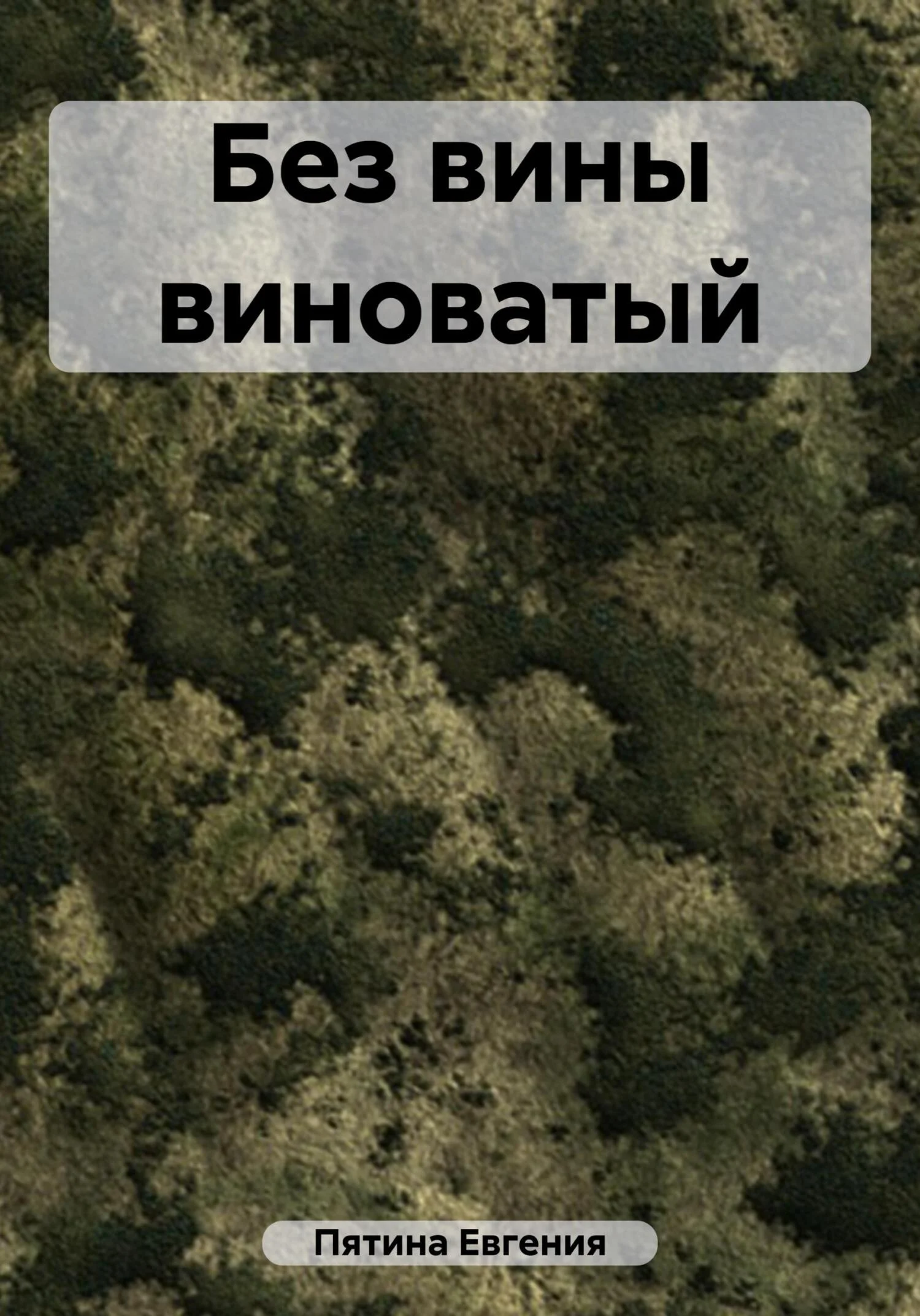 Обложка Без вины виноватый