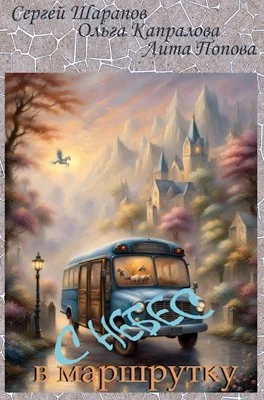 Обложка С небес в маршрутку