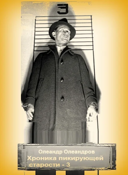 Обложка Хроника пикирующей старости – 3