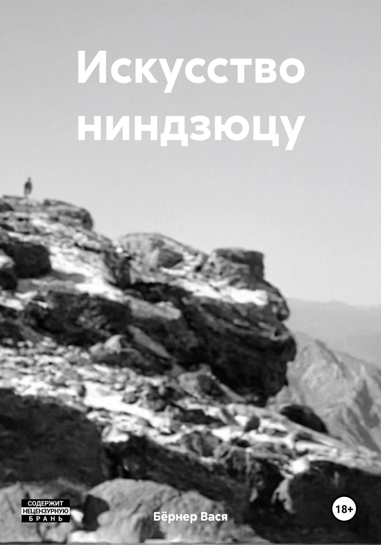 Обложка Искусство ниндзюцу