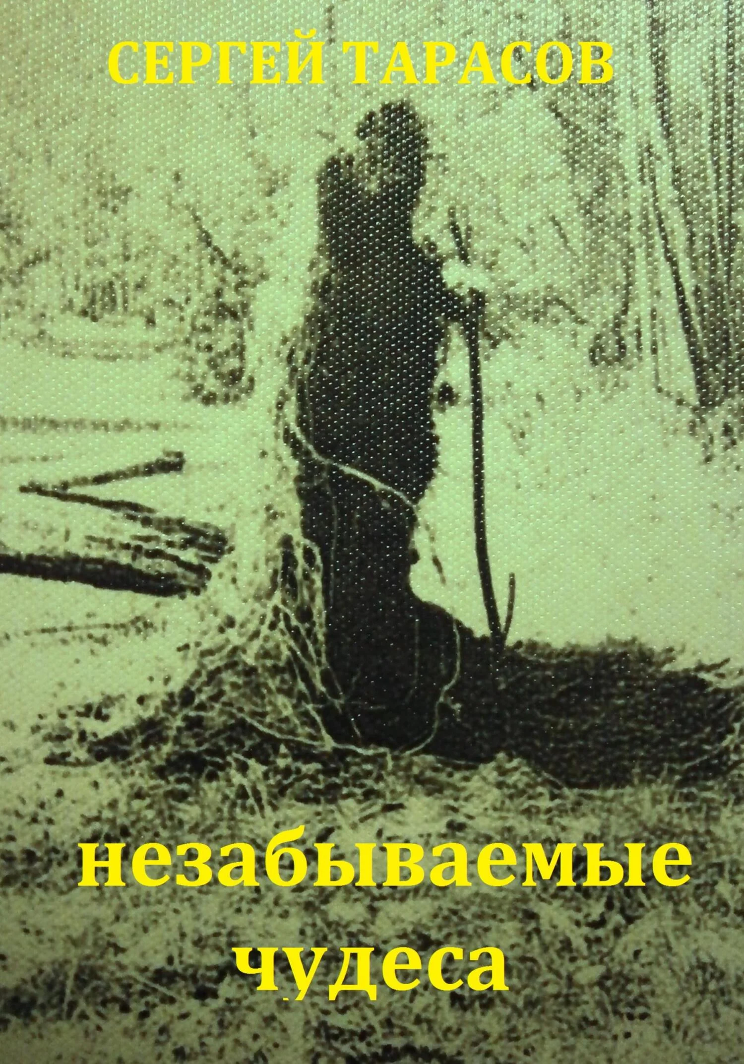 Обложка Незабываемые чудеса