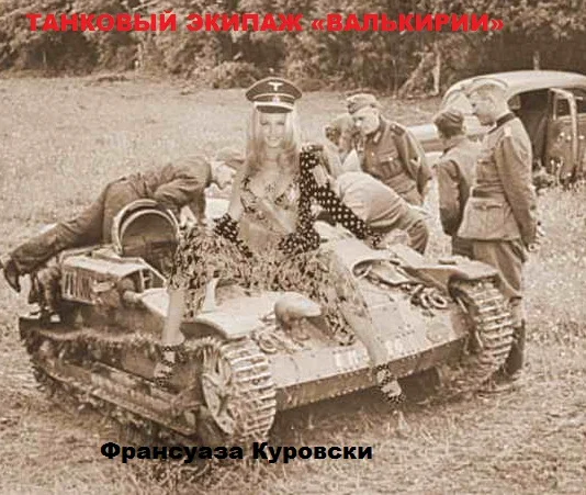 Обложка Танковый экипаж «Валькирии»