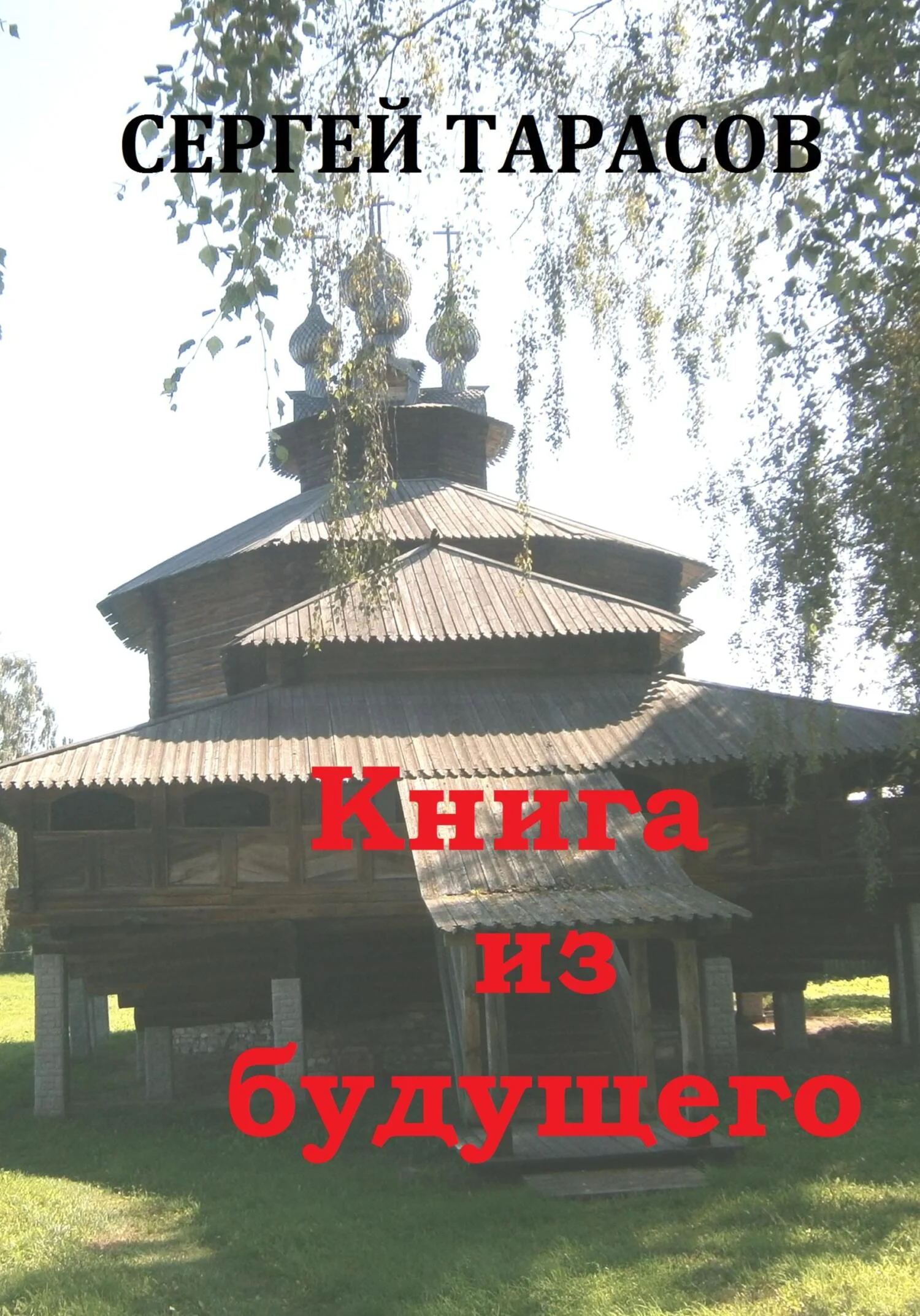 Обложка Книга из будущего