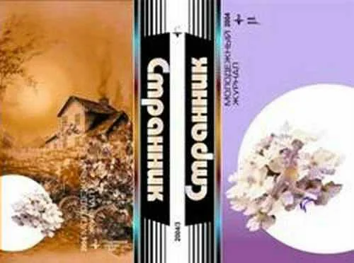 Обложка Джон и Тимми