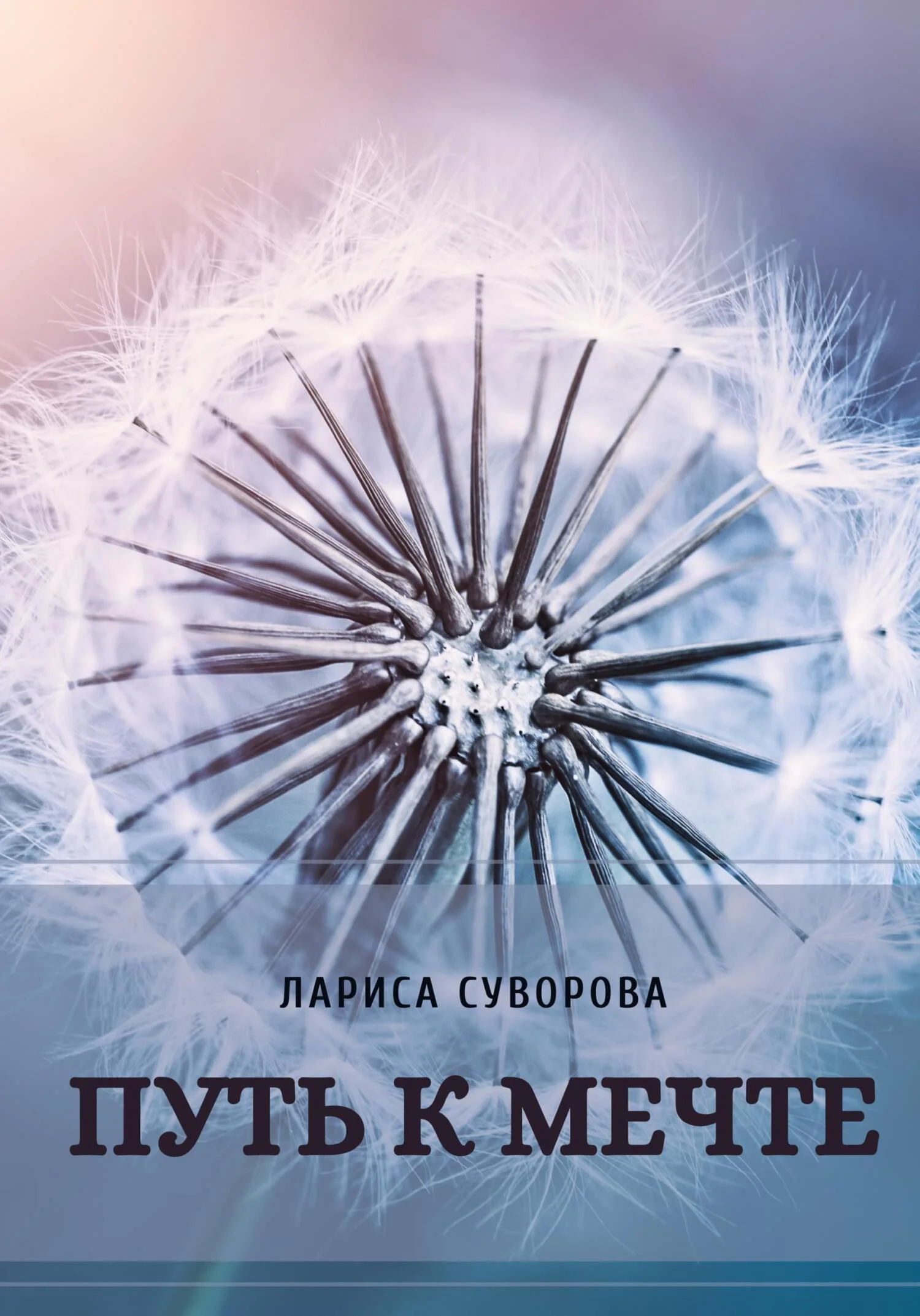 Обложка Путь к мечте