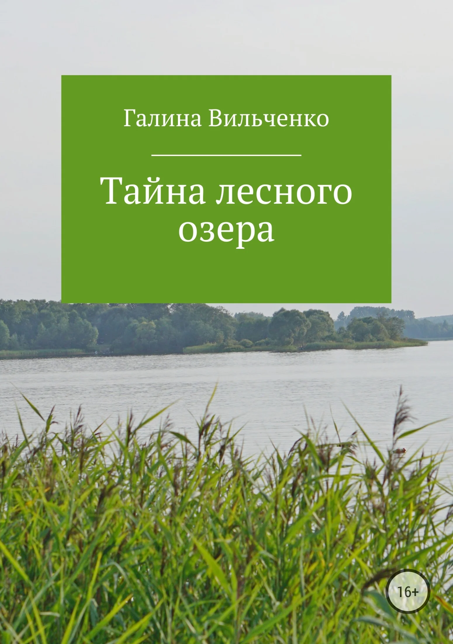 Обложка Тайна лесного озера