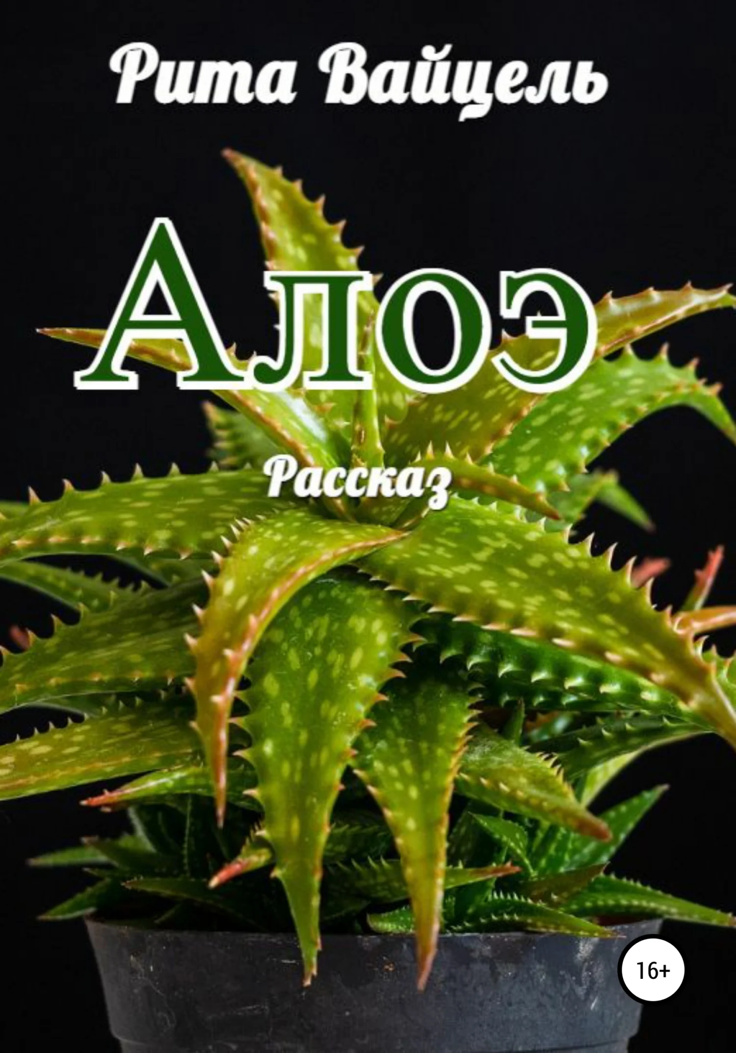 Обложка Алоэ