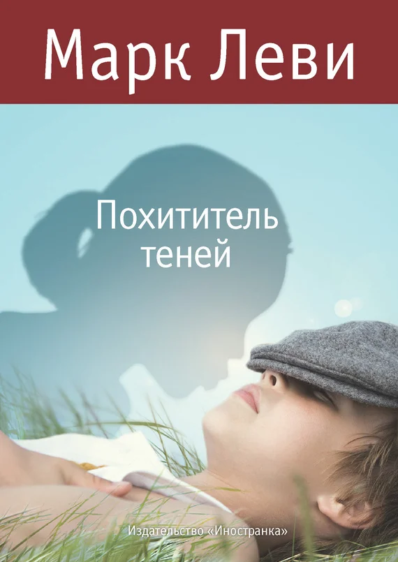 Обложка Похититель теней