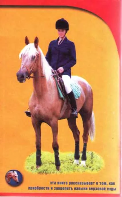 Обложка Уроки верховой езды