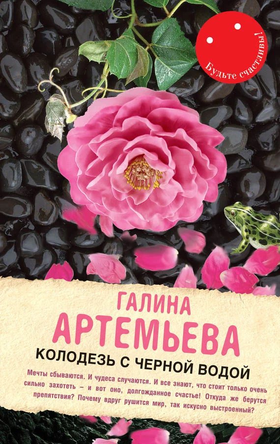 Обложка Колодезь с черной водой