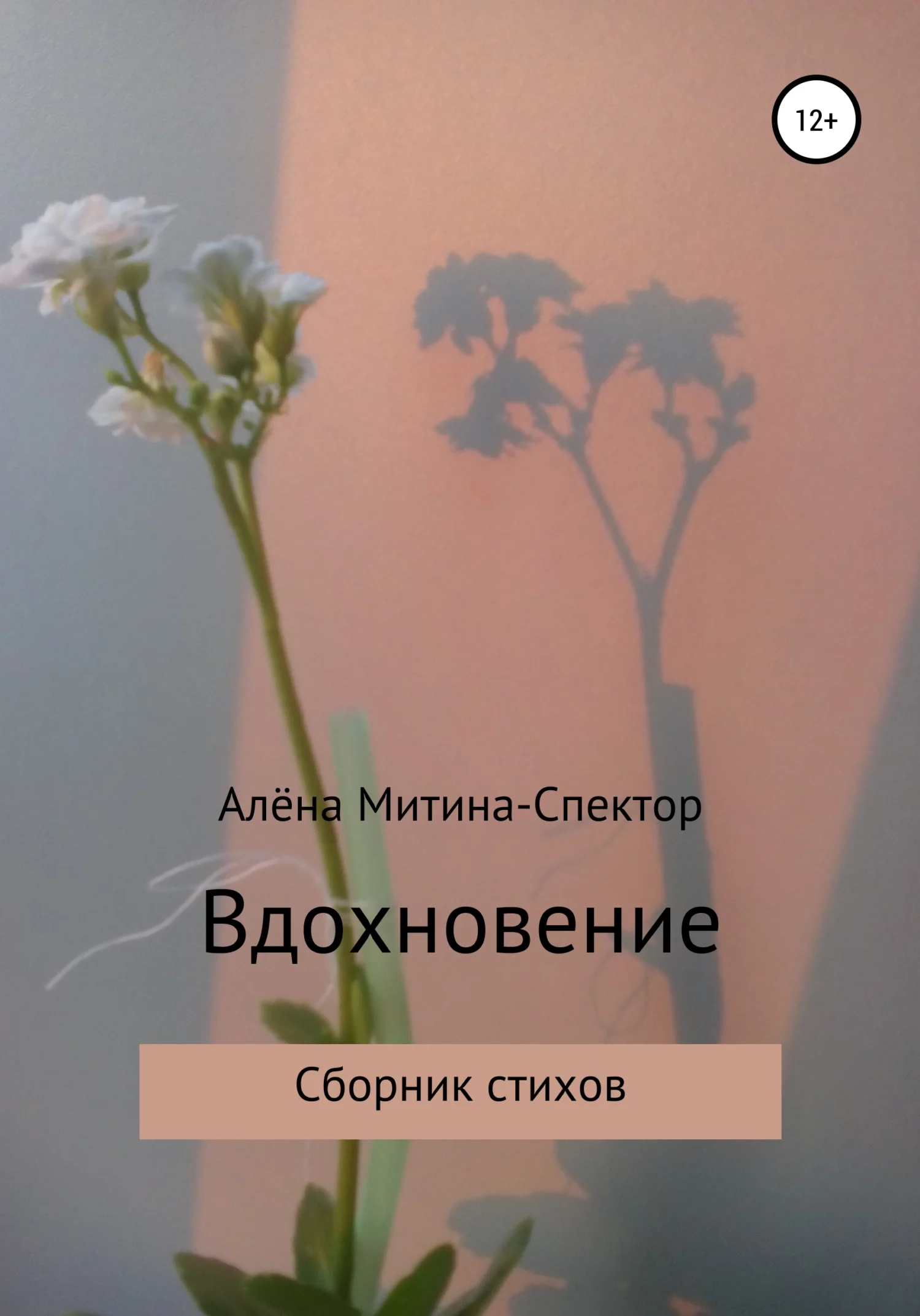 Обложка Вдохновение