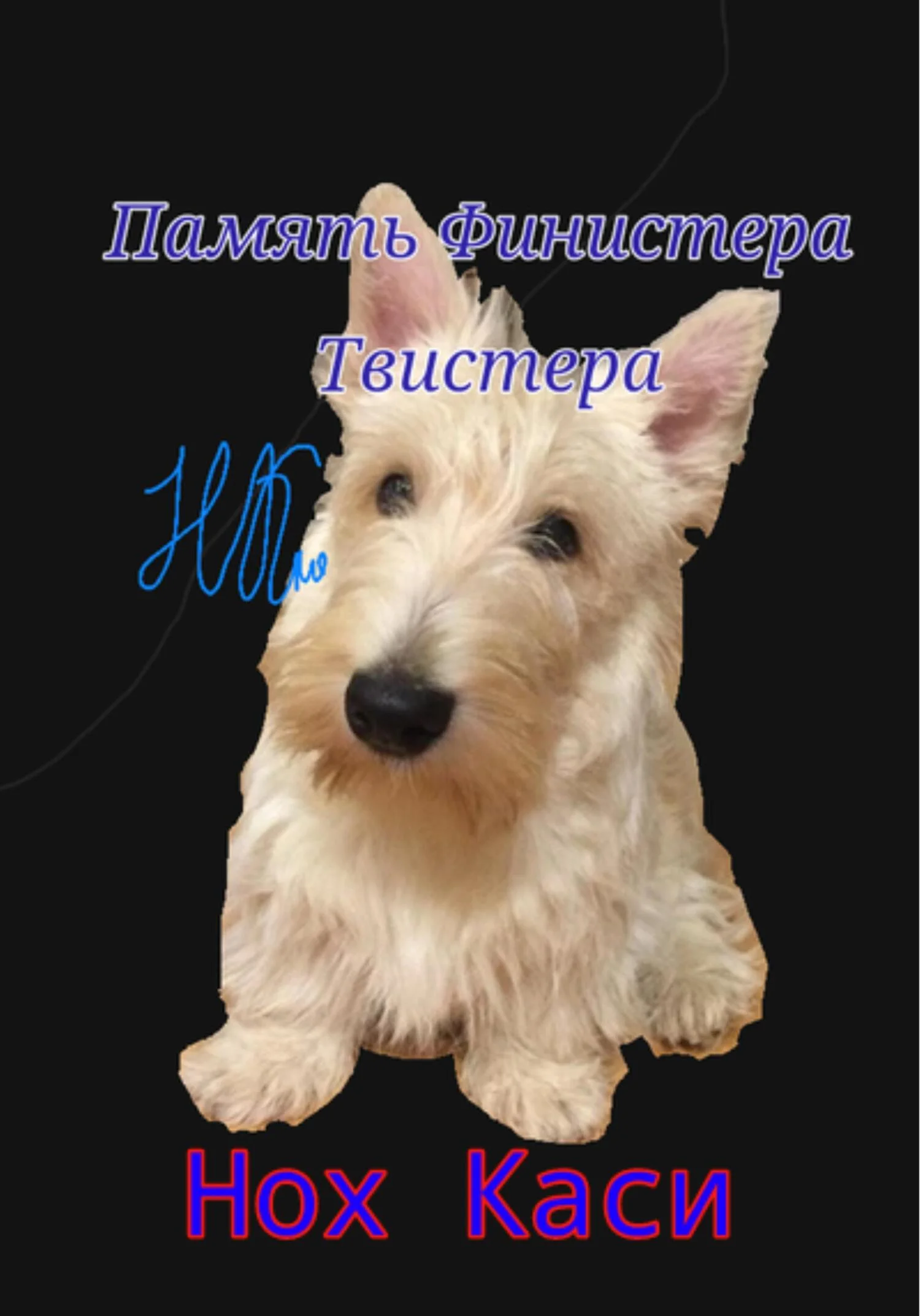 Обложка Память Финистера Твистера